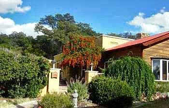 Spirit Tree Inn B&B Patagonia Exterior foto