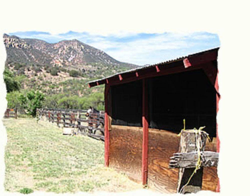 Spirit Tree Inn B&B Patagonia Exterior foto
